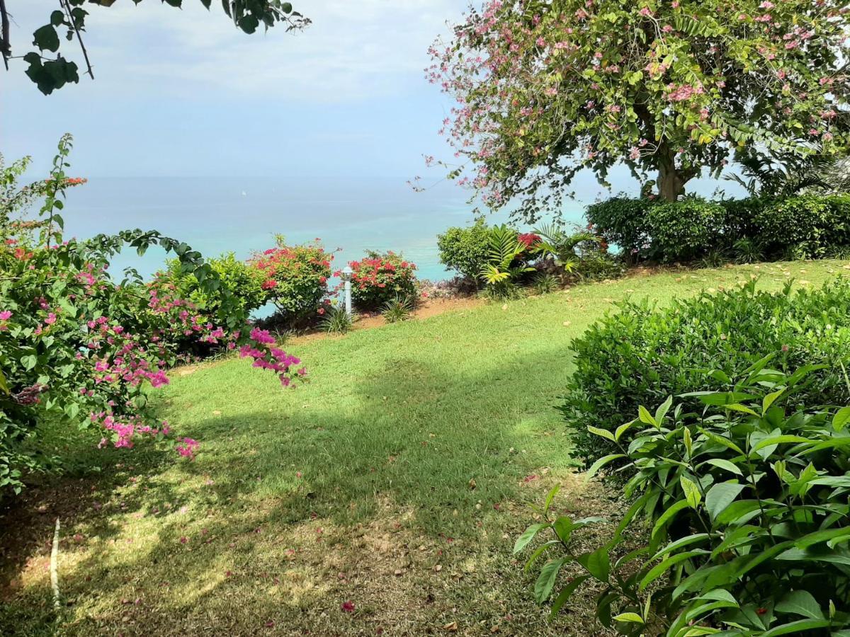 Beach Condos -Montego Bay Club Beach Resort Εξωτερικό φωτογραφία